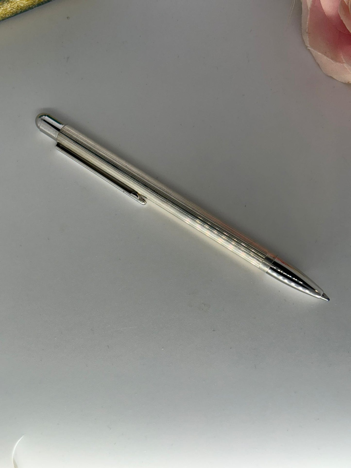 Penna in argento 925