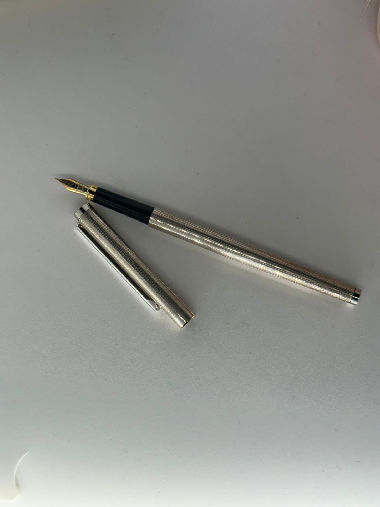Penna stilografica